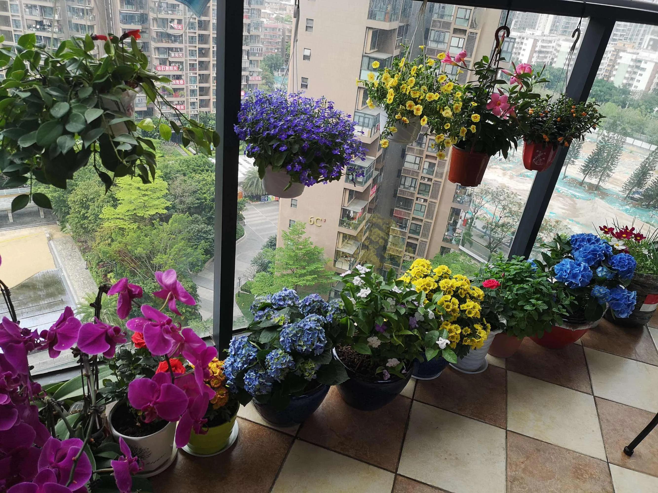 封阳台老式推拉窗安全么,封阳台推拉窗平开窗实际感受