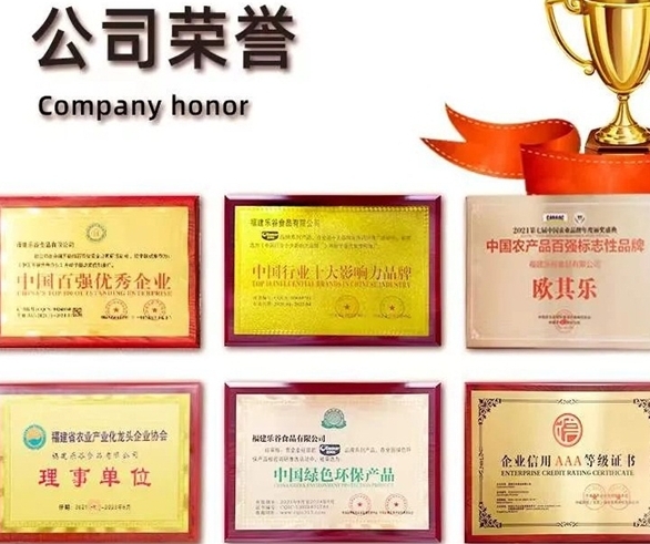 乐谷食品获2024“渠道生态建设”卓越贡献奖