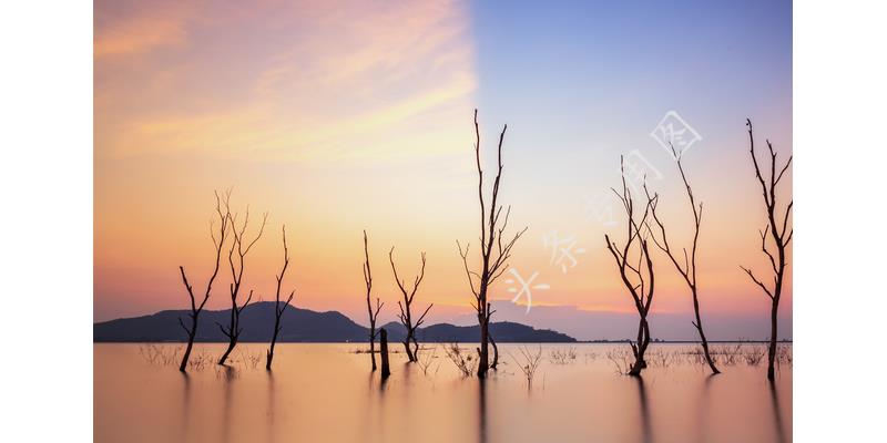 日本打工八年娶了日本老婆,中国在日本打工娶日本媳妇