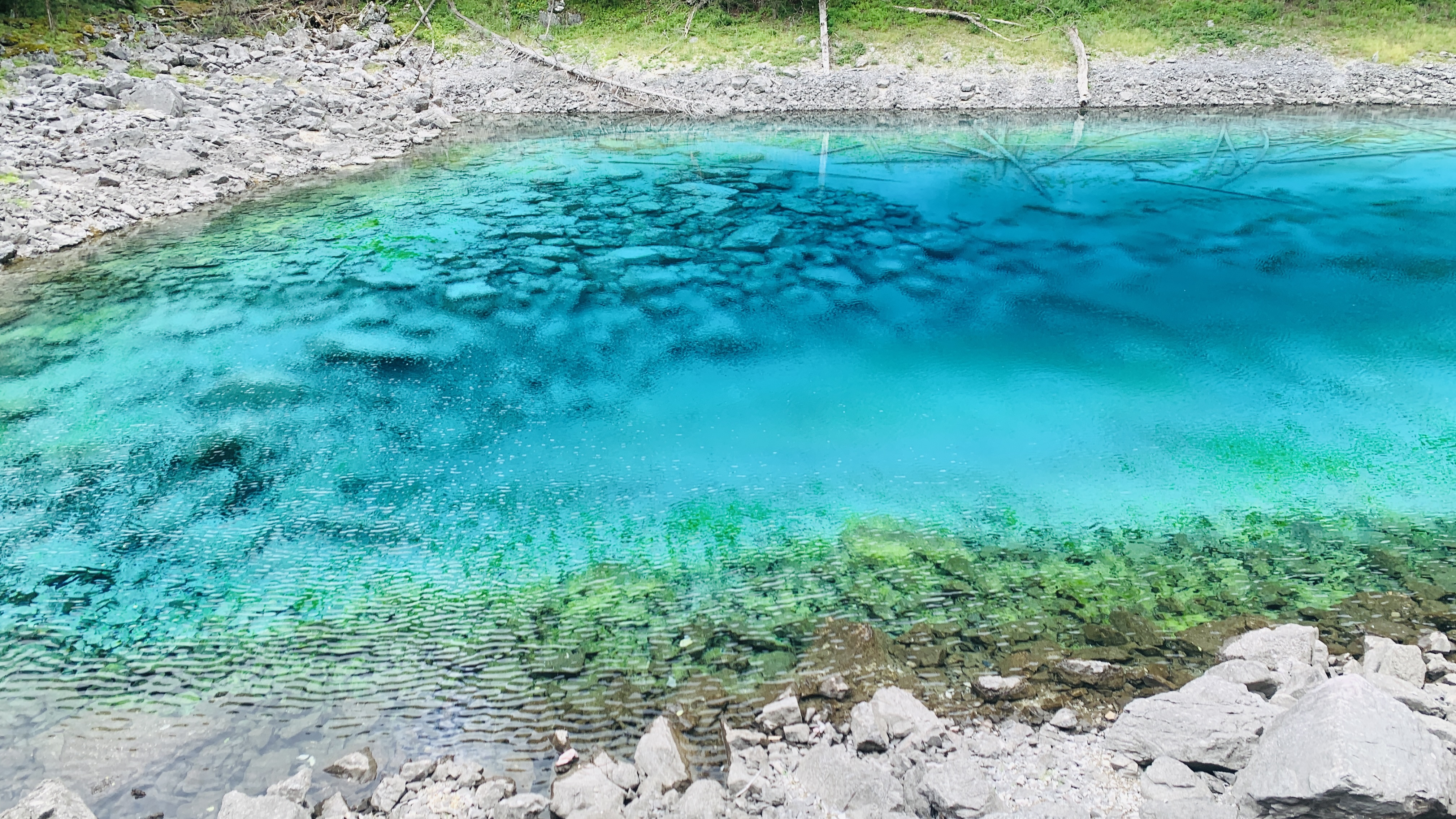 西安九寨沟自驾游攻略详细,咸阳去九寨沟旅游团报价