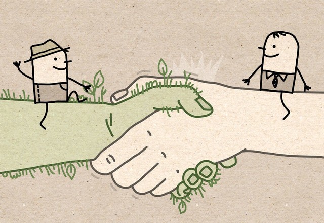 如果有人打你怎么办?打回来。打不过呢?