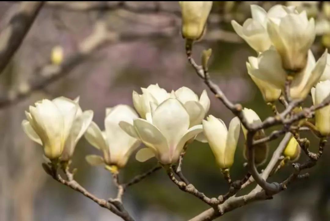 投资与资本运作,投资和做实业