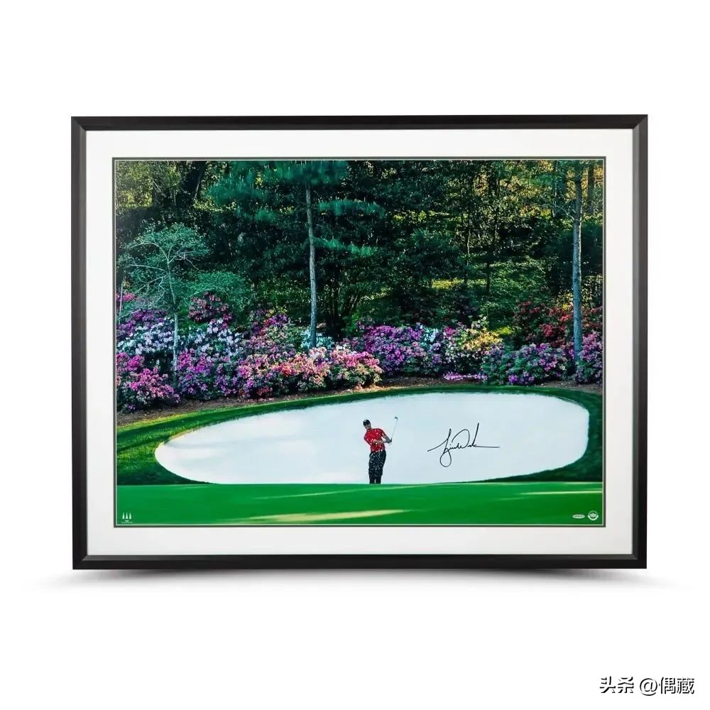 thedugout球衣真假,thedugout限量签名海报