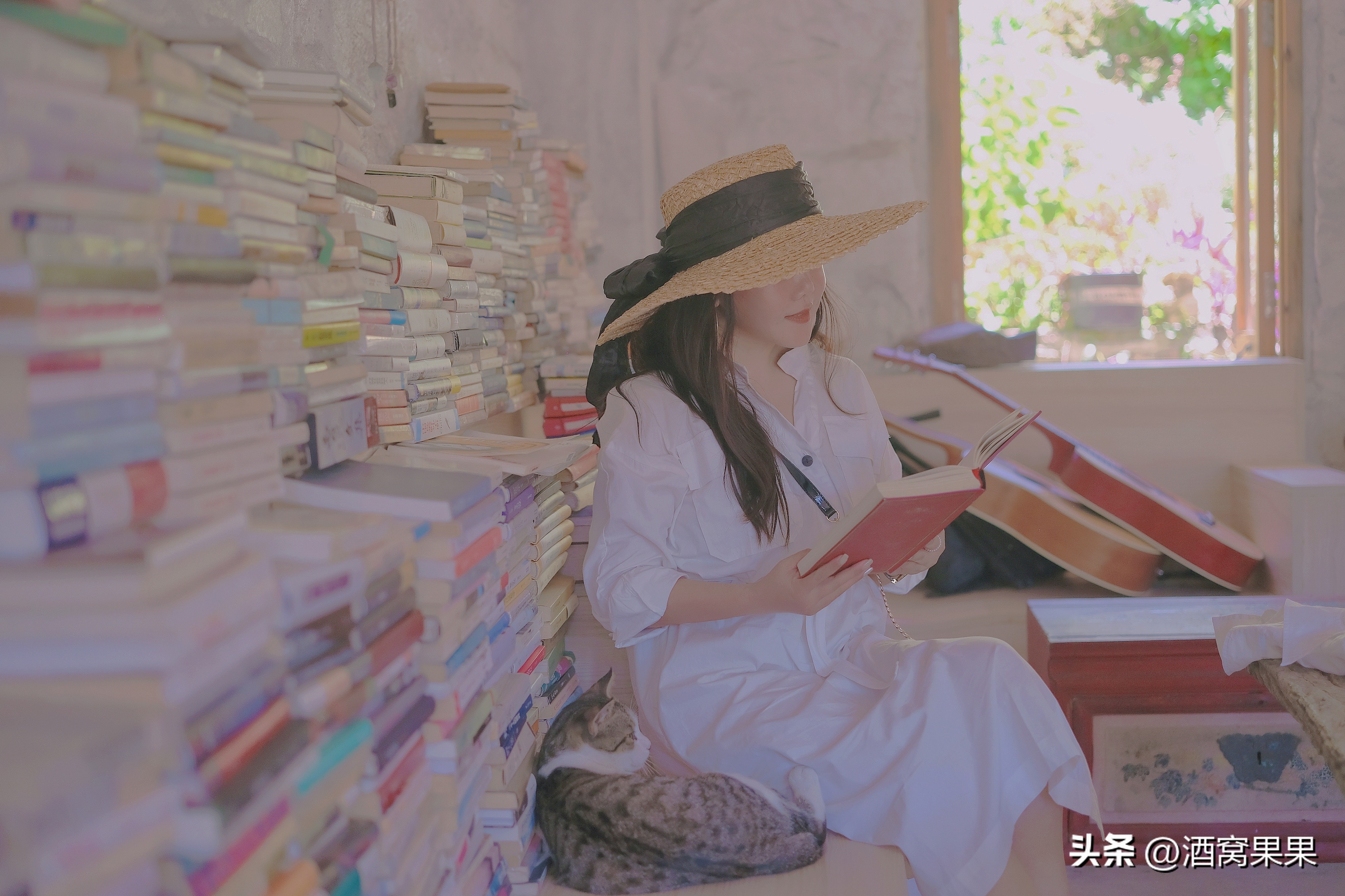 福鼎两天一夜旅游攻略,福鼎茶漫步茶园体验采茶之旅