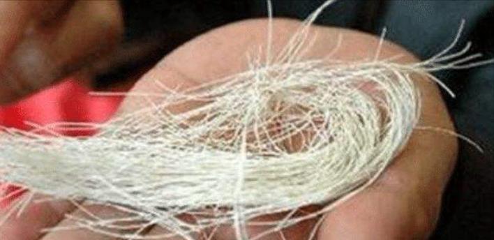 辽宁男人用18万买下了奇石,辽宁男子花5000万买下原石