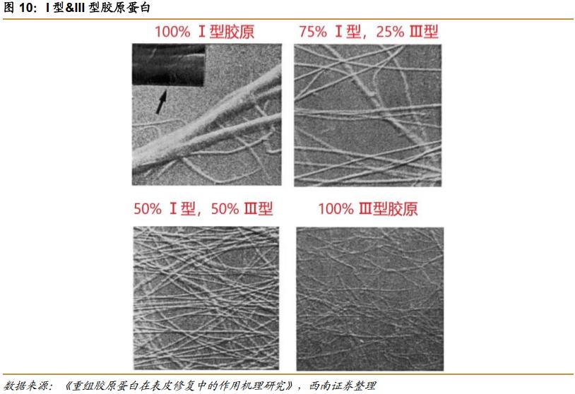 热门护肤品原料有哪些,胶原蛋白千亿品牌是什么成分