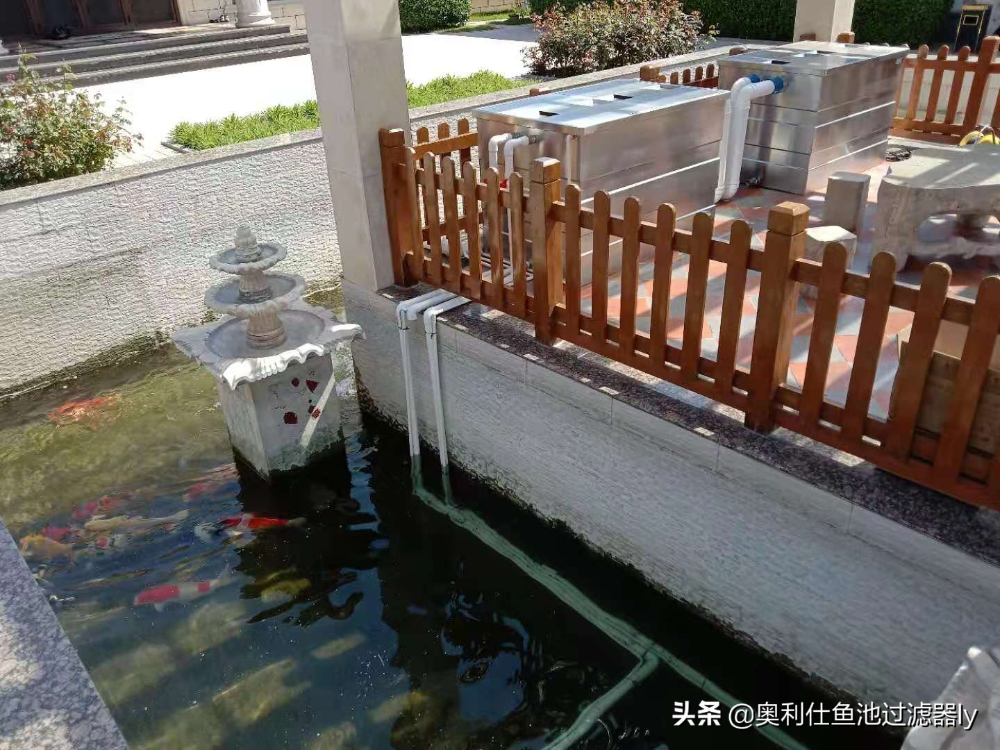 室内锦鲤小鱼池需要杀菌还是换水,锦鲤鱼缸换水后需要用二氧化氯吗