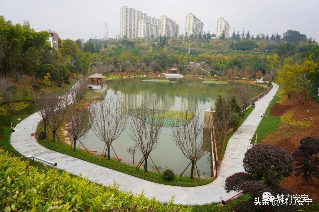 鐖变笂杩欒瘲鎰忕殑鐢熸椿,鐖变笂杩欒瘲鎯呯敾鎰忕殑鐢熸椿