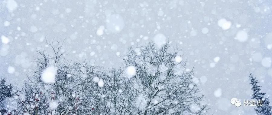 逆向思维营销思维,真正的营销人必须具备的两项定律