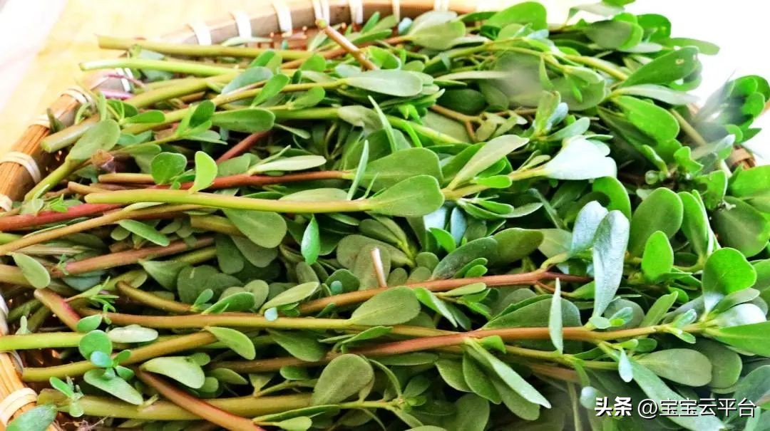 孕期哪些食物容易导致早产,孕晚期不能吃什么食物容易早产