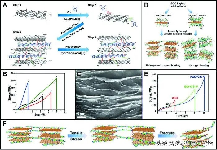 纤维素纳米晶体长宽比对所有CNC薄膜性能的影响被膜和木材CNC