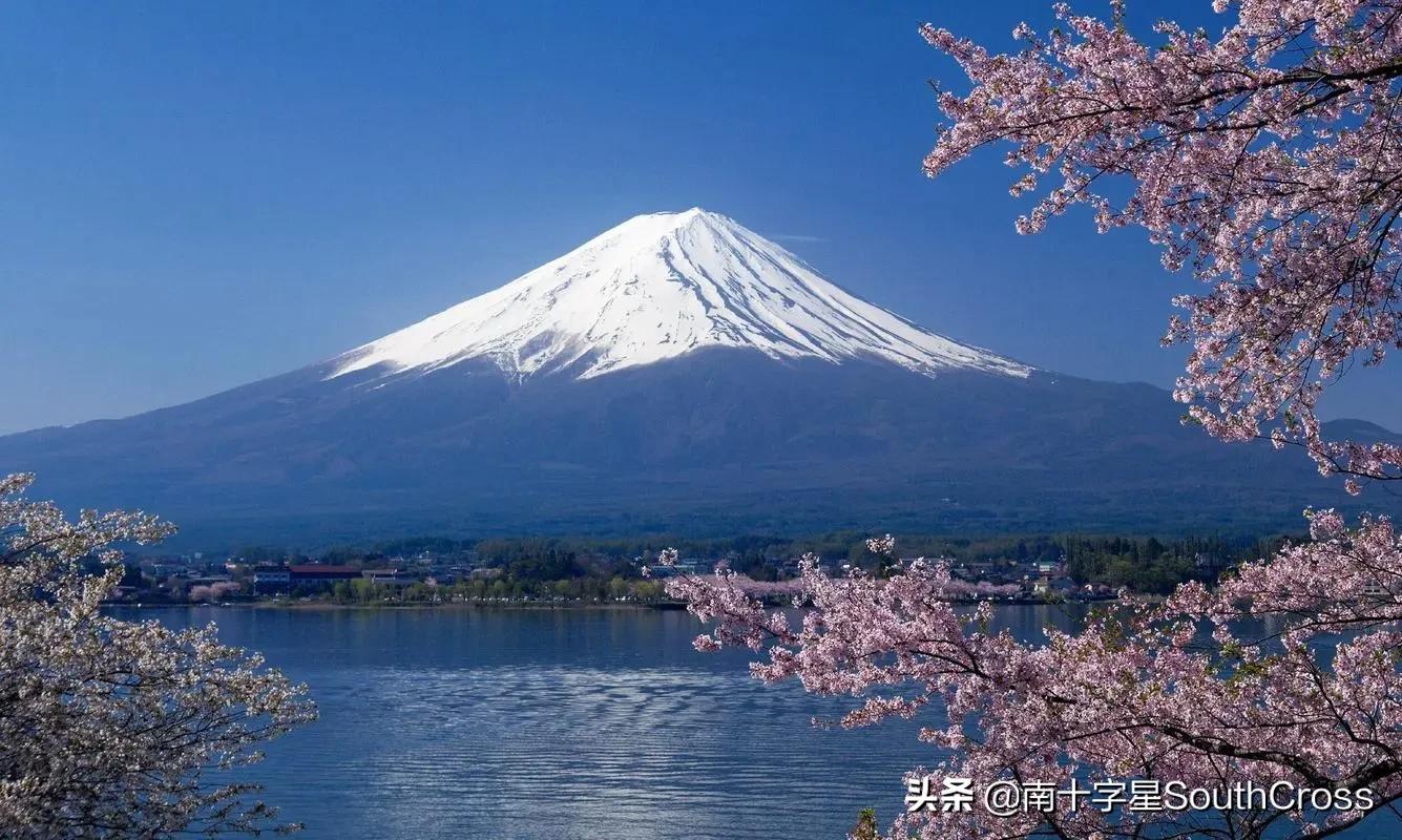 沈阳小伙通过海外独立站卖山货，年赚千万