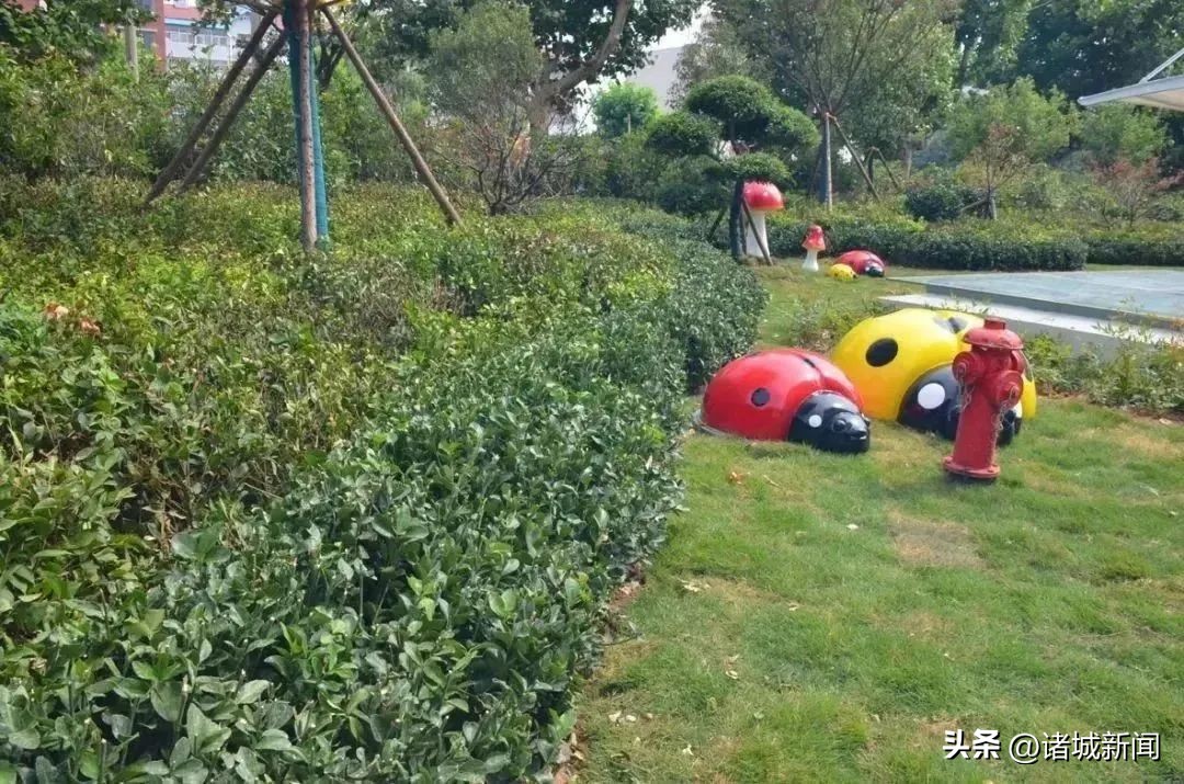 中天万家花园电梯洋房,中天万家花园C区什么价