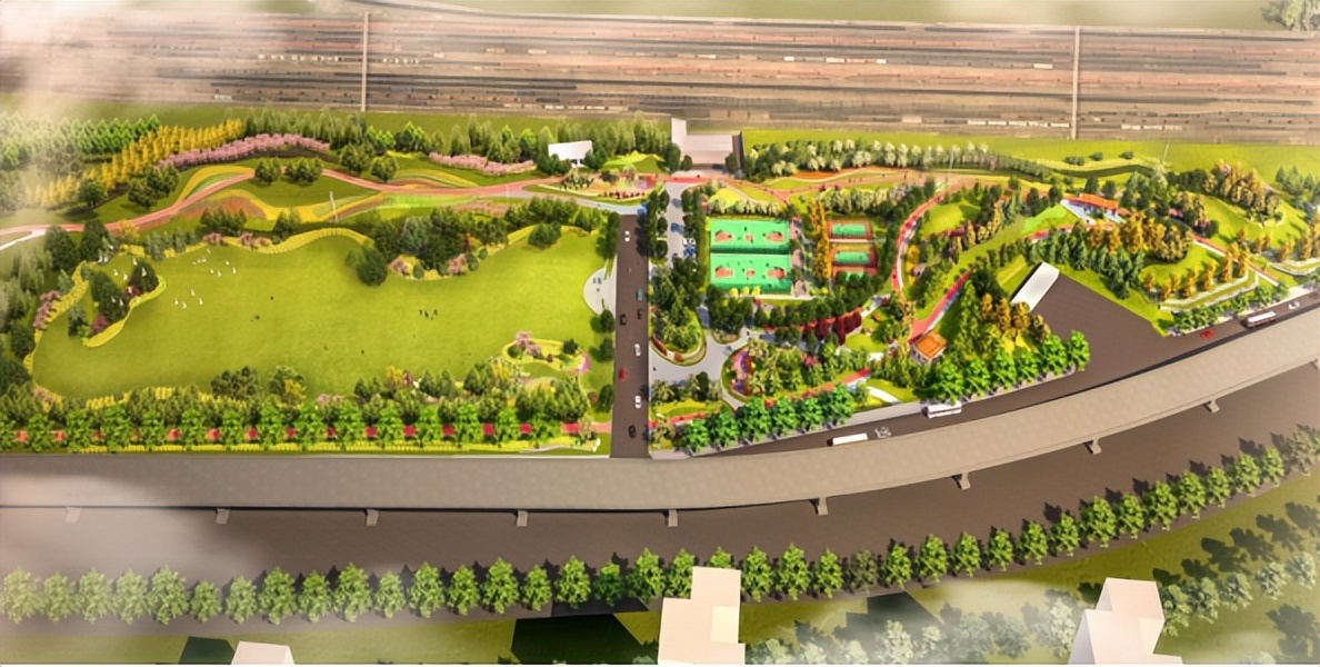 荣获奖项的喜报,棕榈奖名单曝光