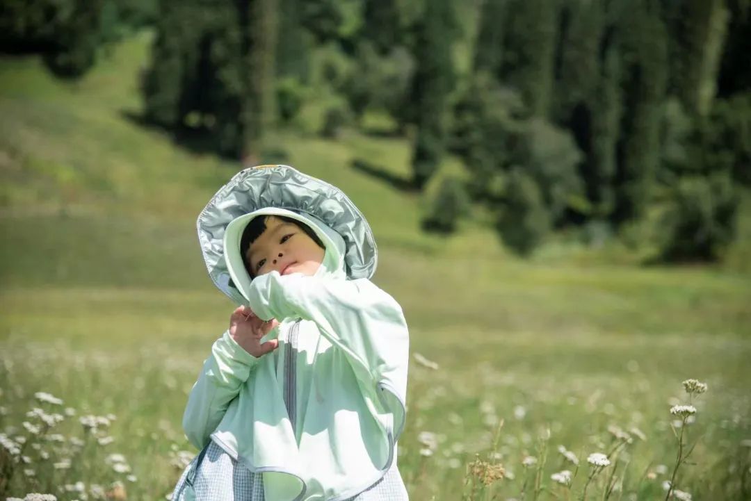 伊犁河谷一日游攻略,新疆伊犁环线5日游攻略