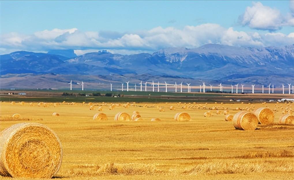 新兴城市适合创业项目,农村新兴行业创业项目