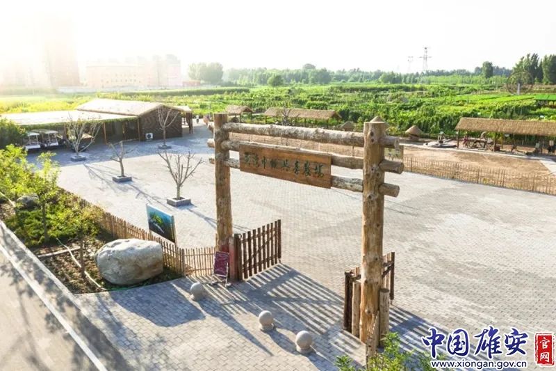 夏天雄安,雄安游览攻略