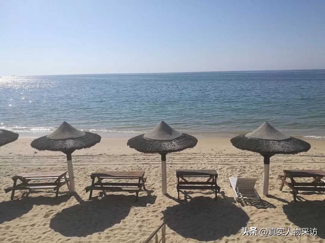 80后女生辞掉稳定工作创业,80后辞职旅游欧洲