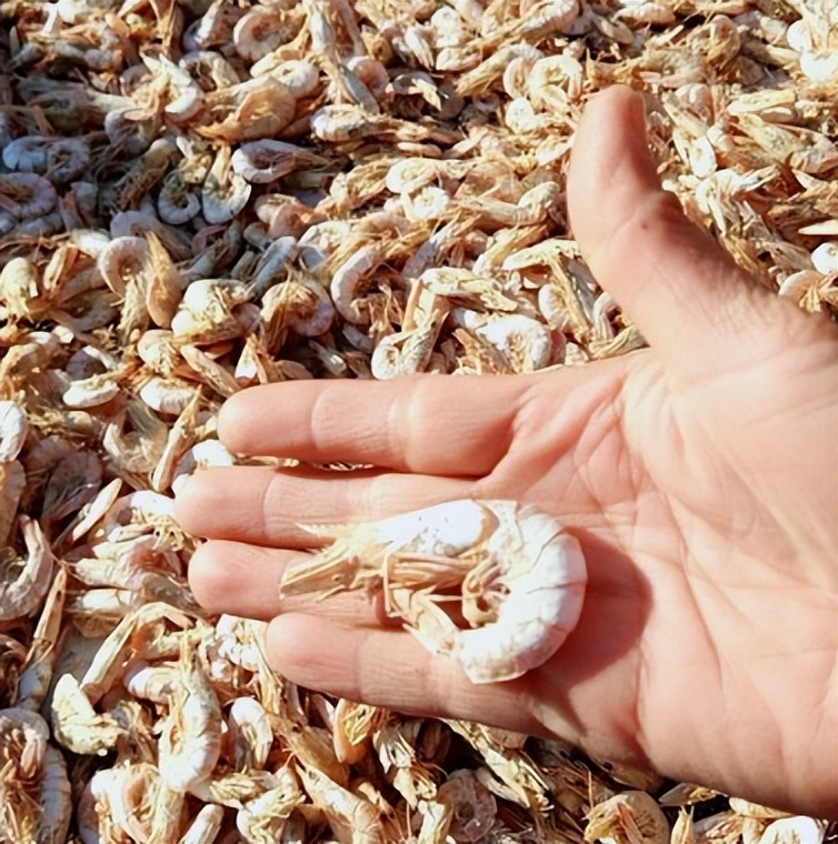 尸体药水泡海鲜，“色素”鸡蛋再现，315未曝光的菜场内幕太吓人