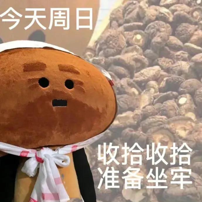 表情包今天你练车了吗,表情包今天是周五