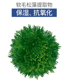 女士保湿控油推荐,夏日清爽控油好物推荐