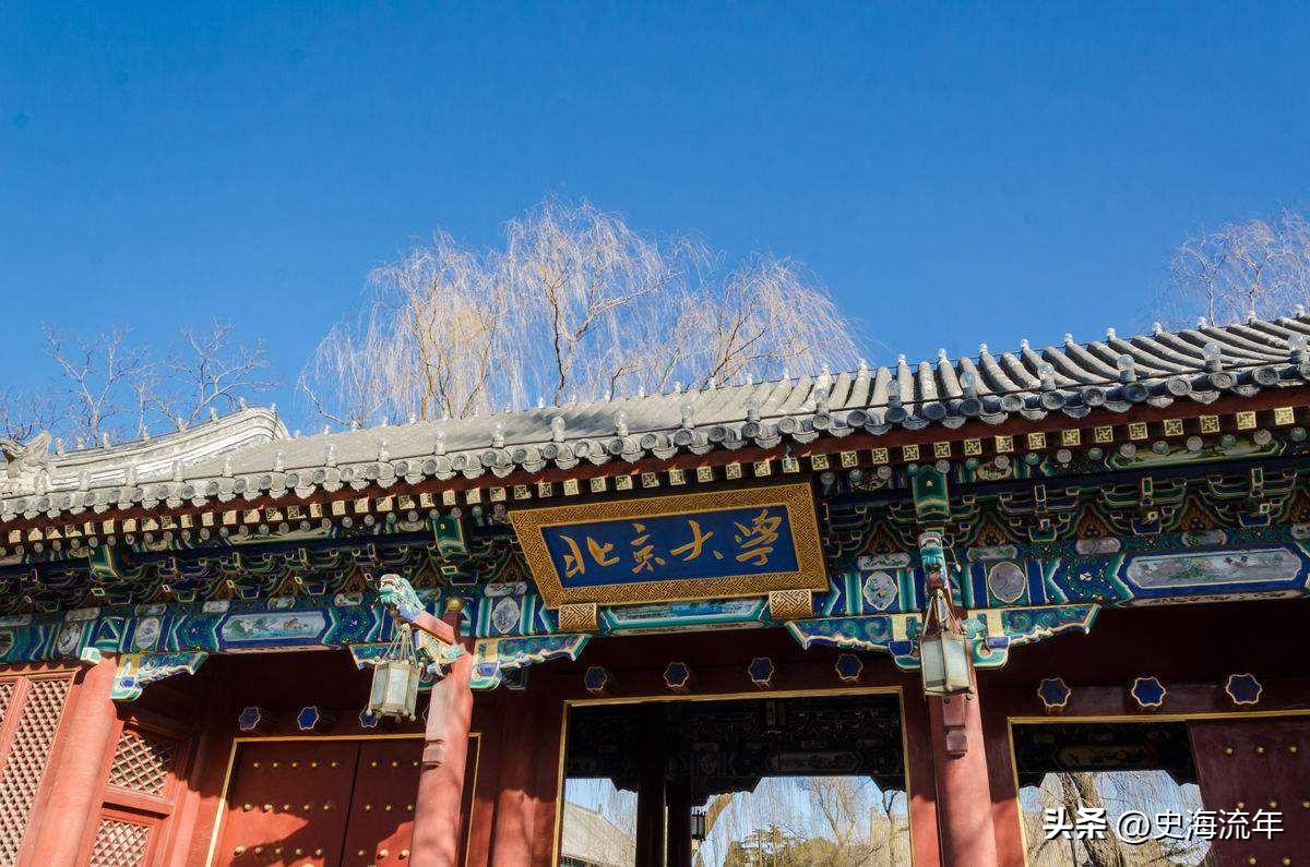 有哪些好用的大学专业推荐,目前大学比较热门的专业有哪些