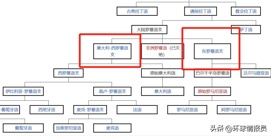 法国人为啥自称高卢雄鸡,法国为什么叫高卢雄鸡