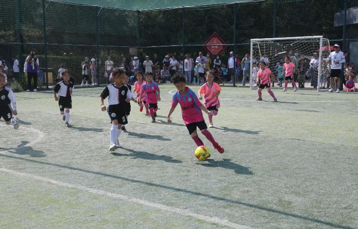 奔跑吧少年足球比赛报名入口,奔跑吧少年幼儿篮球嘉年华