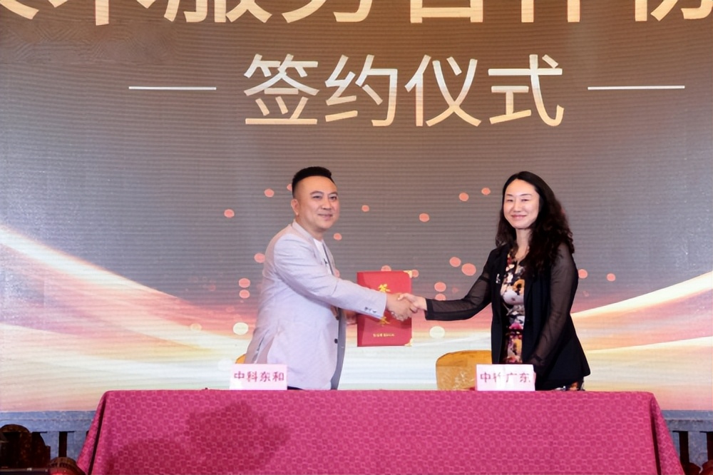 发力现代服务业细分赛道,发力电商新赛道高起点上再出发