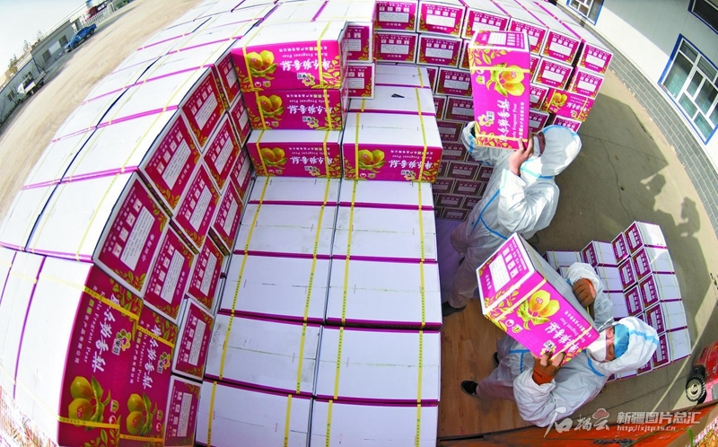 奋力前行只争朝夕