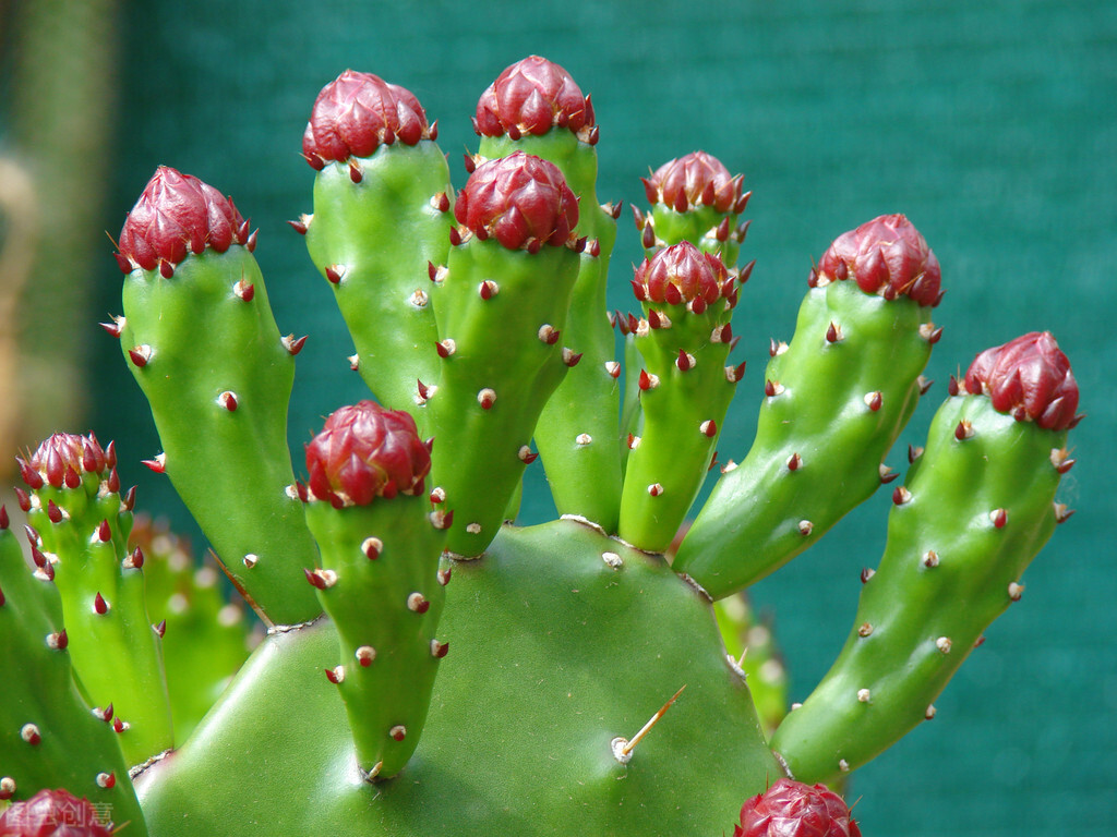 早安问候暖心治愈语录