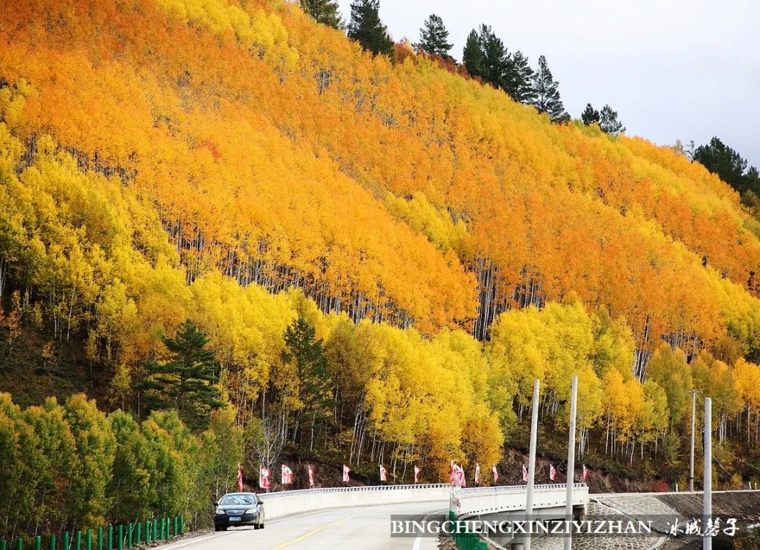 秋天大兴安岭最美的地方,秋天美丽的大兴安岭