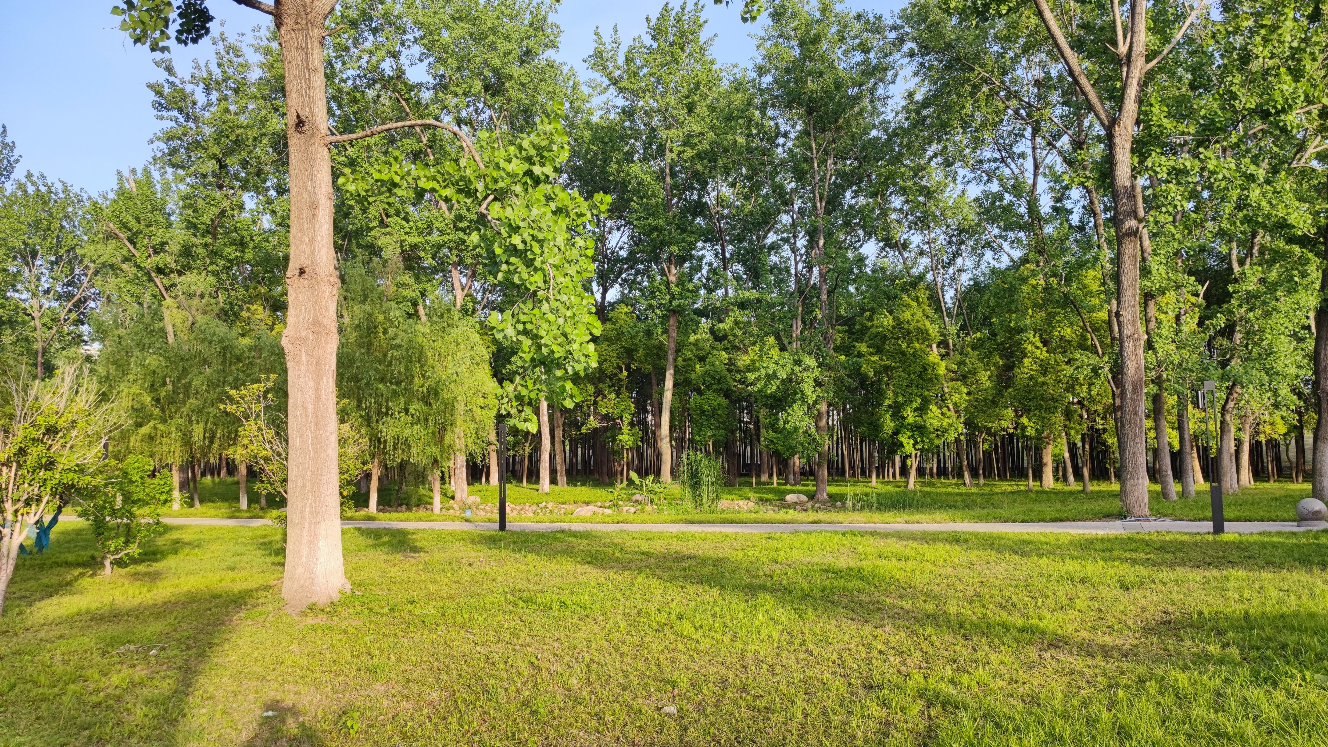 武汉青山江滩攻略,五一武汉青山江滩