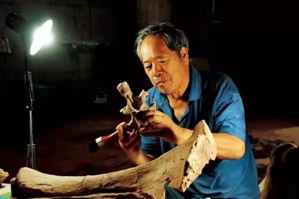 「共舞长江经济带」恐龙的五大千古之谜中，有几个人不应该被忘却