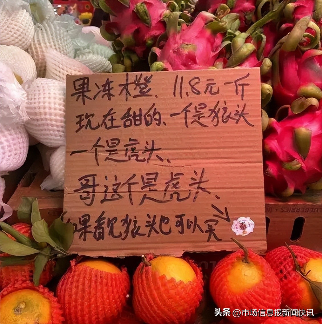 水果店碎碎念式标语,大学水果店碎碎念式标语走红