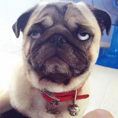 疫情期间，我家废掉电视的全过程