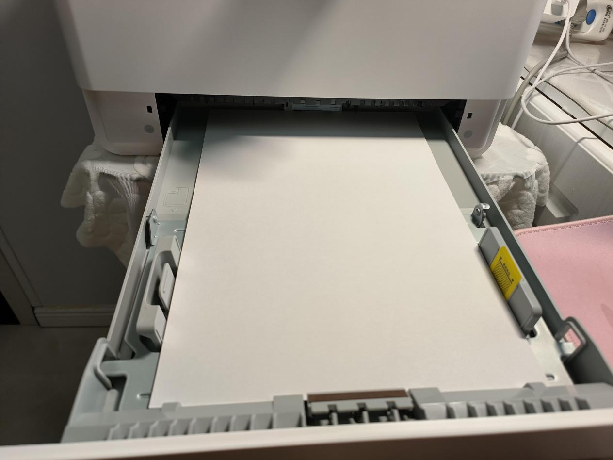 摘了有色眼镜吧，家用打印机推荐，耗材便宜还好维护的不香吗