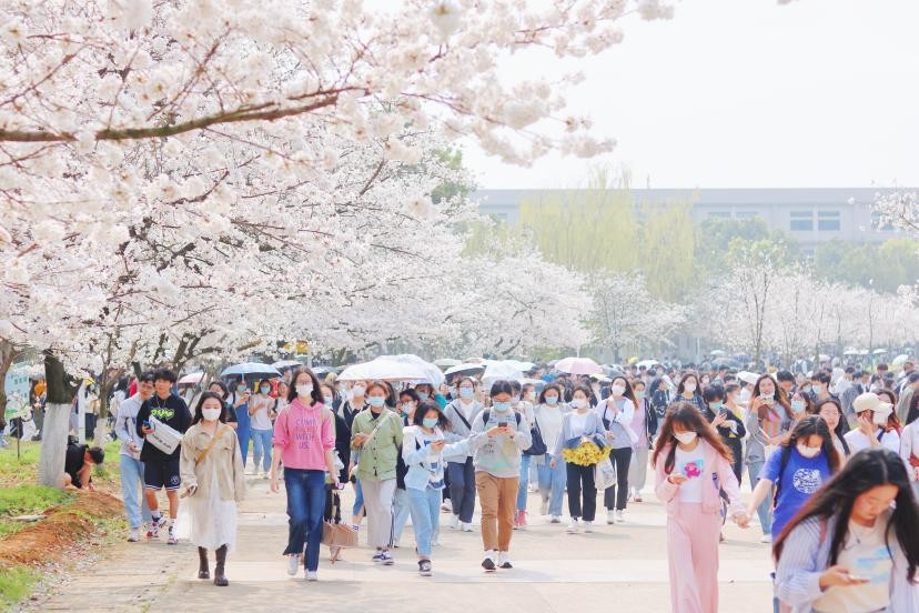湖北十大最美大学,全国最美十大高校高清图片