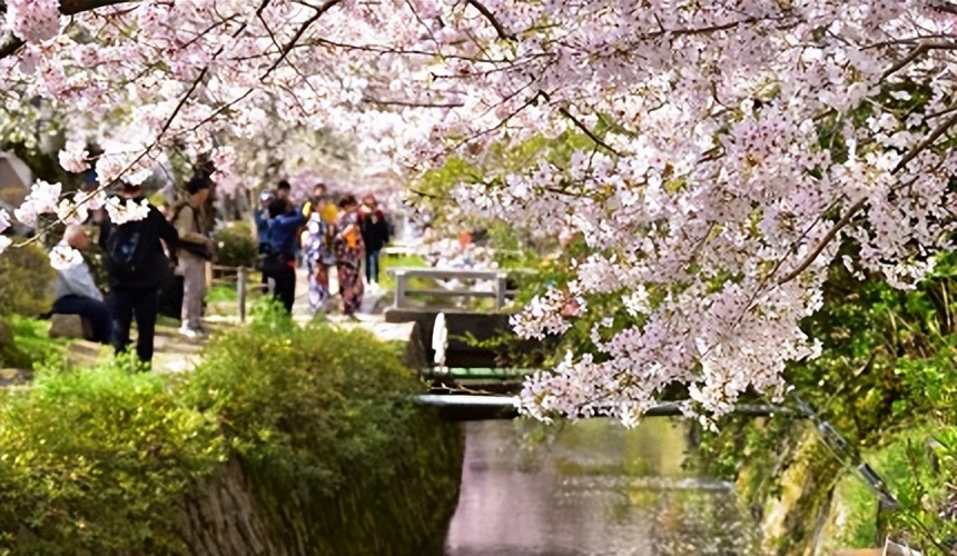 <html>
<head><title>502BadGateway</title></head>
<body>
<center><h1>502BadGateway</h1></center>
<hr><center>nginx</center>
</body>
</html>
<!--apaddingtodisableMSIEandChromefriendlyerrorpage-->
<!--apaddingtodisableMSIEandChromefriendlyerrorpage-->
<!--apaddingtodisableMSIEandChromefriendlyerrorpage-->
<!--apaddingtodisableMSIEandChromefriendlyerrorpage-->
<!--apaddingtodisableMSIEandChromefriendlyerrorpage-->
<!--apaddingtodisableMSIEandChromefriendlyerrorpage-->
