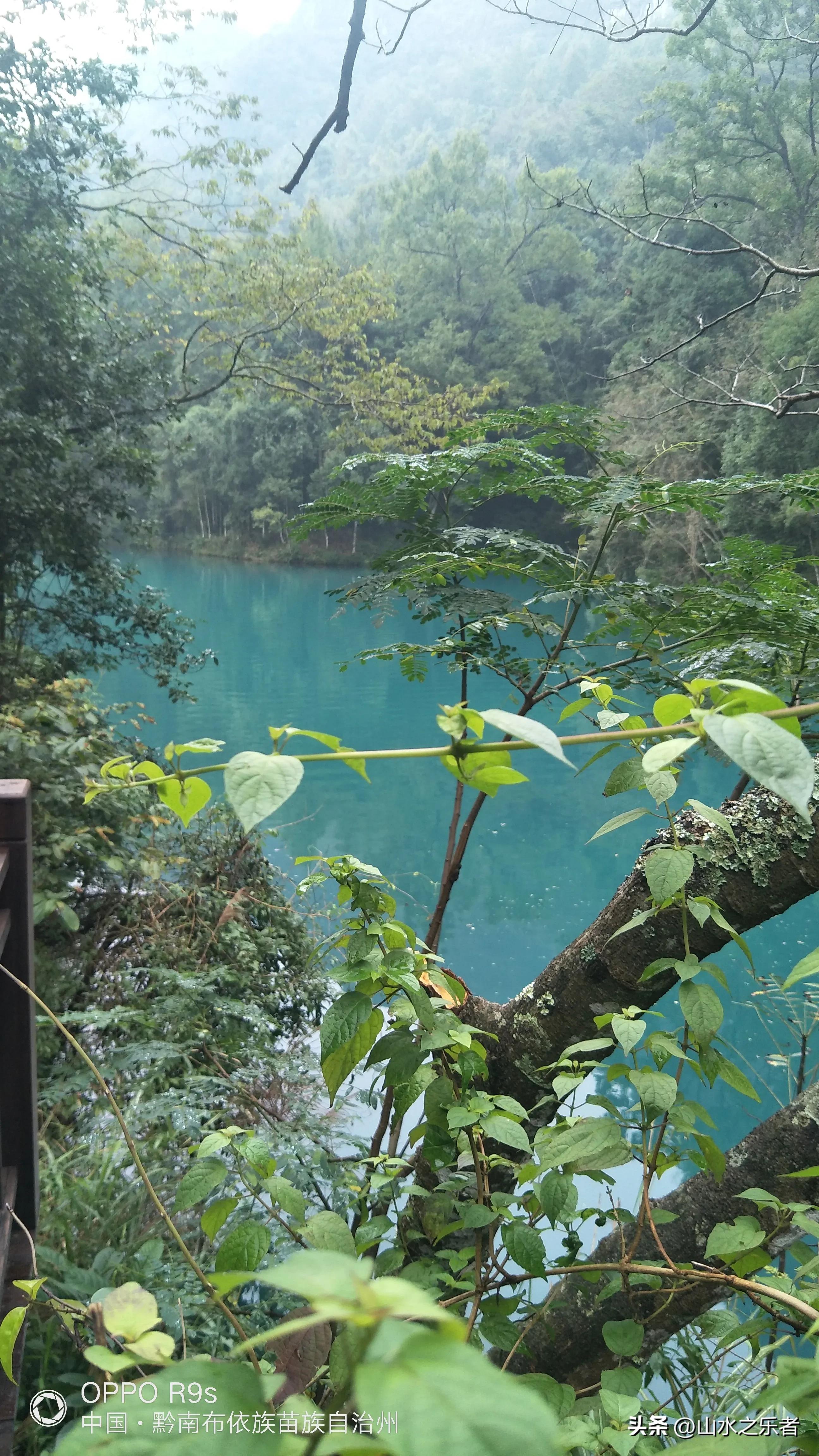 荔波小七孔最新视频,畅游小七孔