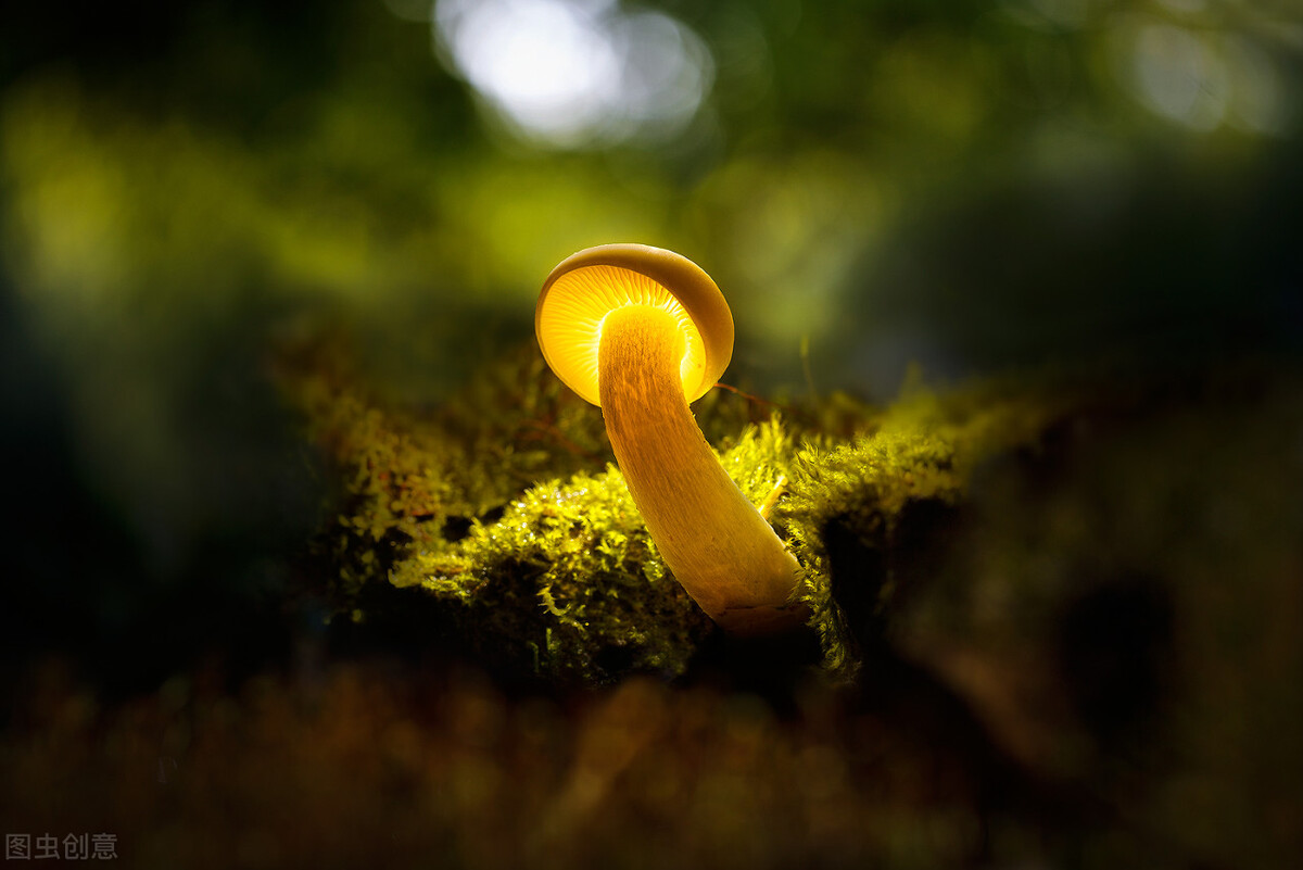 情绪崩溃受不了怎么办,情绪崩溃了怎么调节自己