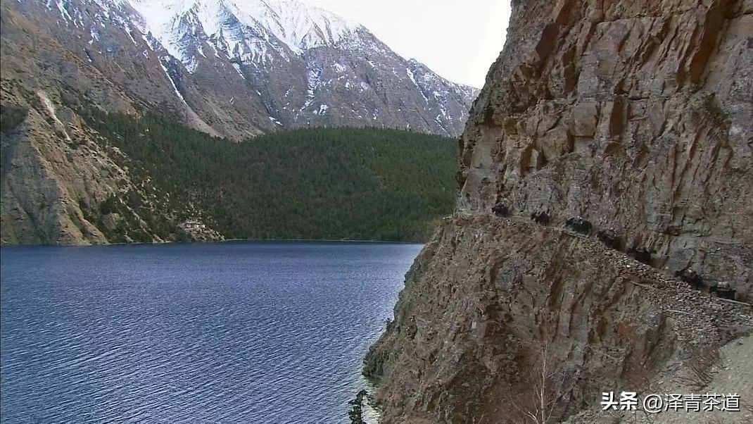 茶马古道茶叶铁盒价格,茶叶溯源之旅