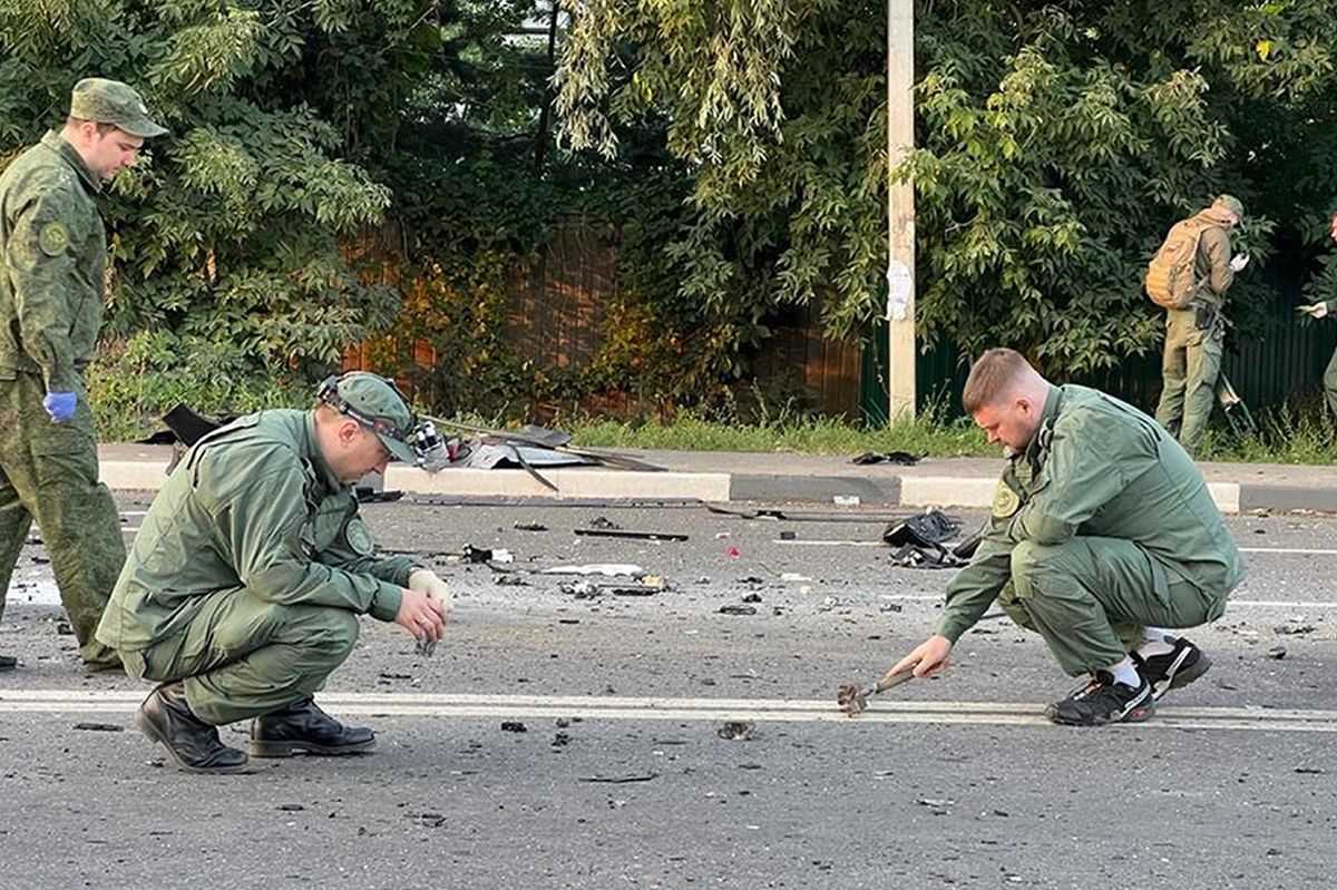 俄乌冲突白天鹅,白天鹅在俄乌冲突中的表现