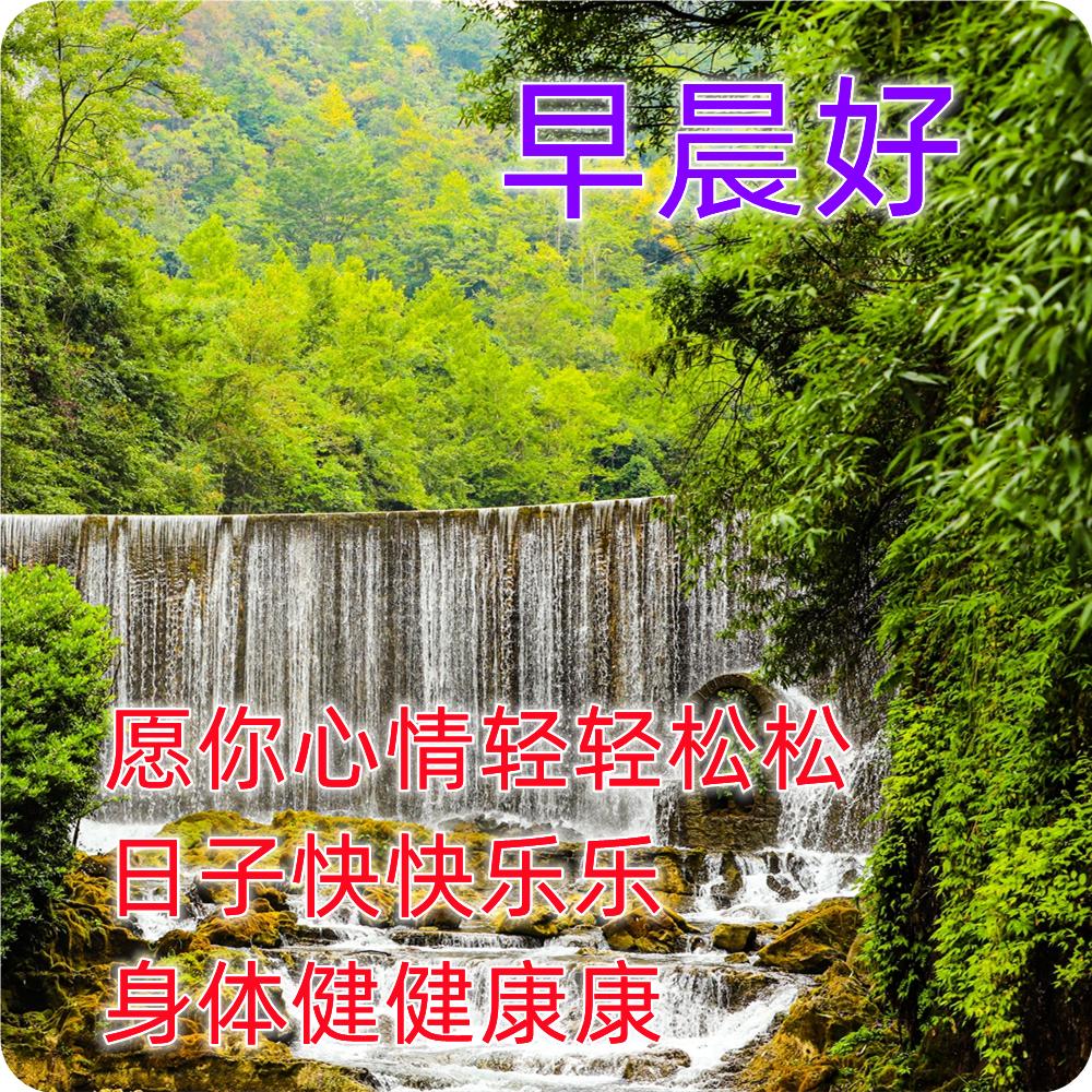 早上好最漂亮问候语动态表情图片,最美早安问候图片带字动态