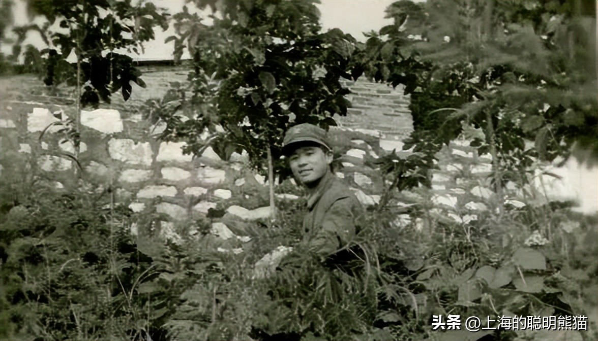 部队转业安置深圳,改革开放四十年我们一起走过