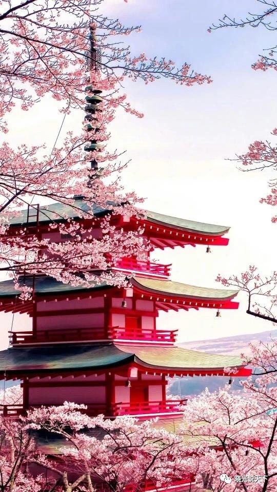 中日文化交流史导论,中日文化交流史视频