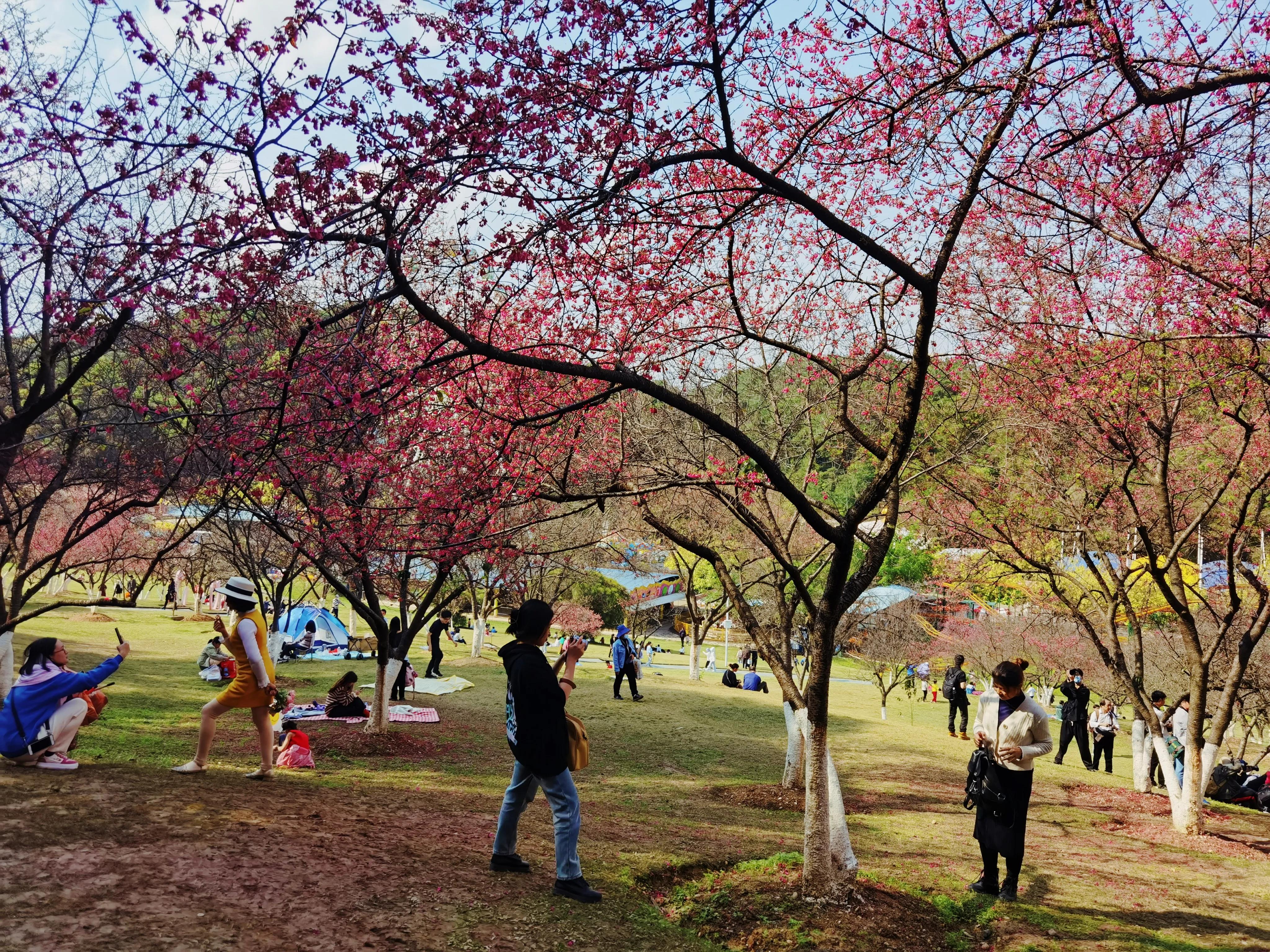 南宁是一个什么样的城市,南宁是个什么样的城市