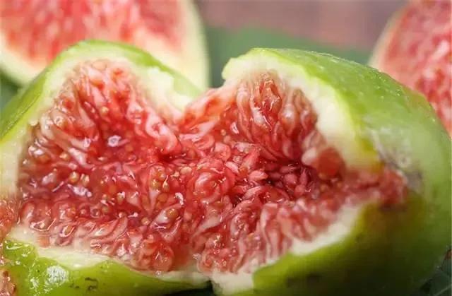 无花果冬天结果怎么办,无花果树冬天有叶子吗