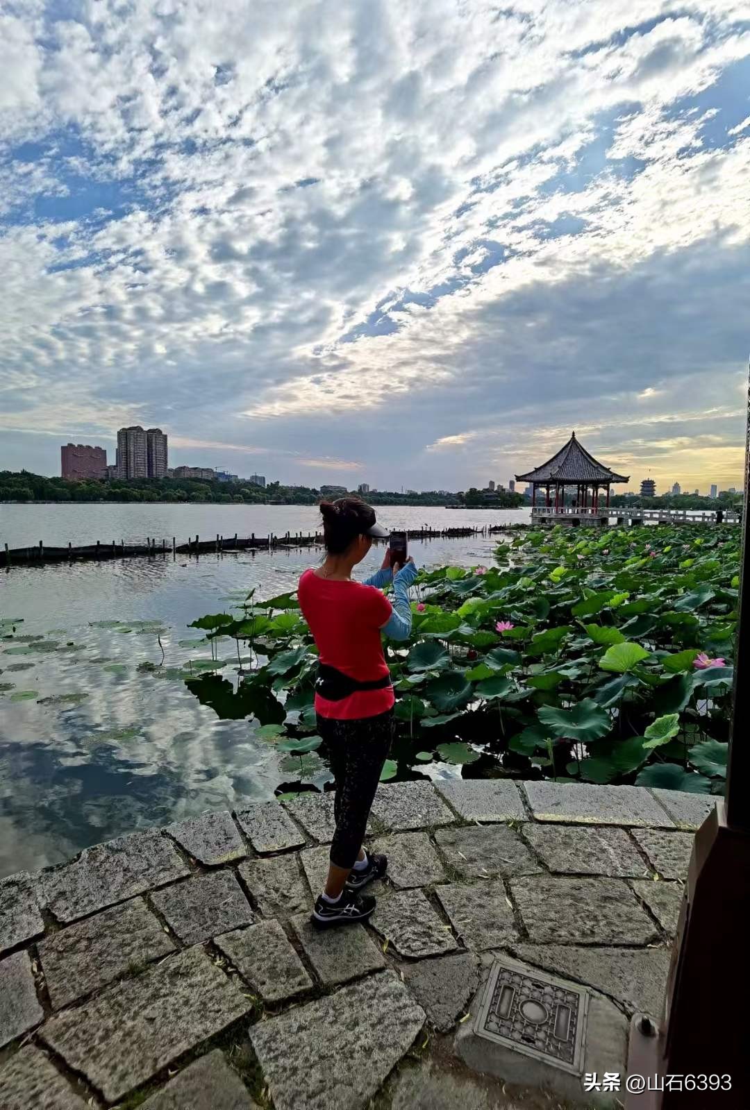 「战友美拍」“荷颂”系列17:陶俊峰的《荷叶之美》