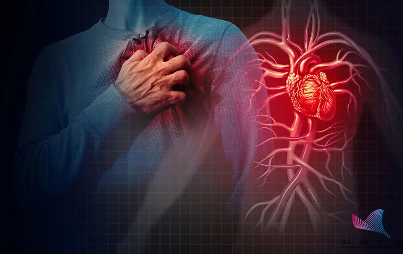 这种坚果，吃一粒肝脏排毒40天？你家也有，备年货前赶紧看看…